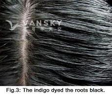 250122100048_Hair-Dyed with indigo-s.jpg